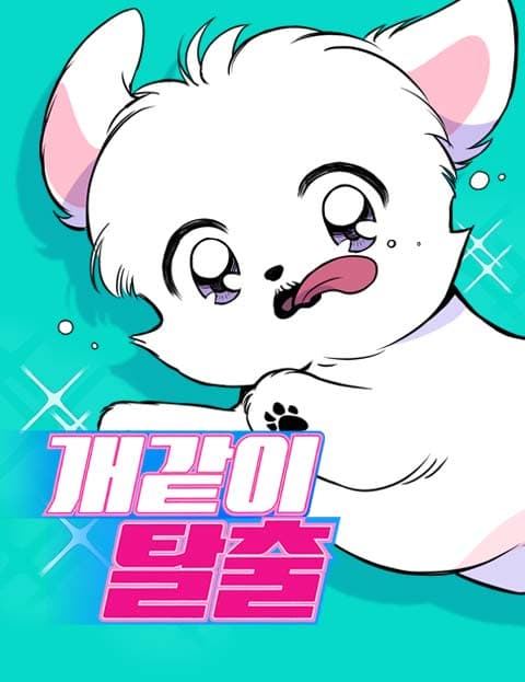 개같이 탈출